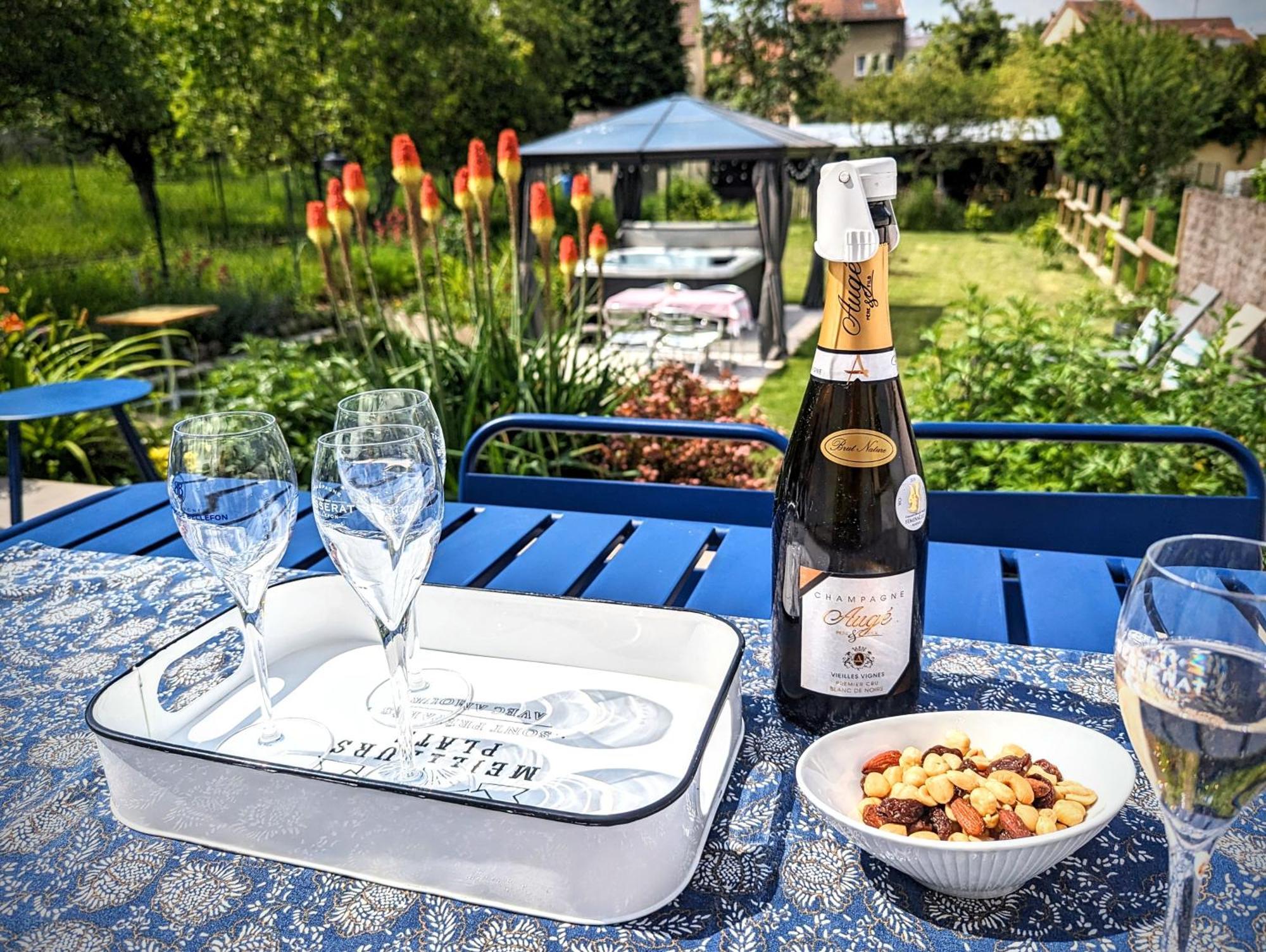 Le Cemarose: Spa, Jardin, Terrasse Et Jolie Vue Au Coeur D'Epernay Épernay Exterior foto